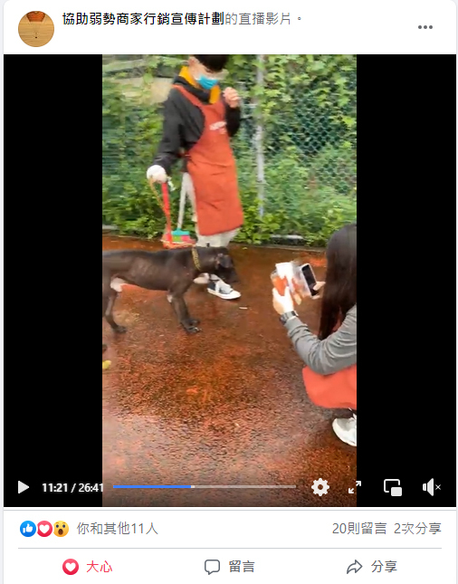 亞東科大x板橋動物之家直播認養